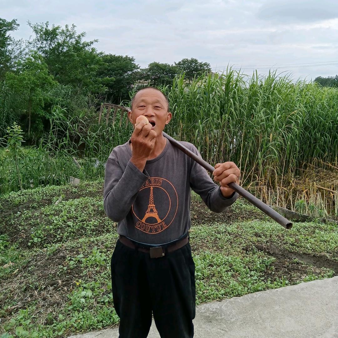 老朱