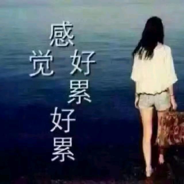 捡瓶子的菇凉