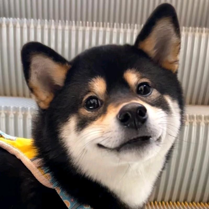 一米八高冷后妈