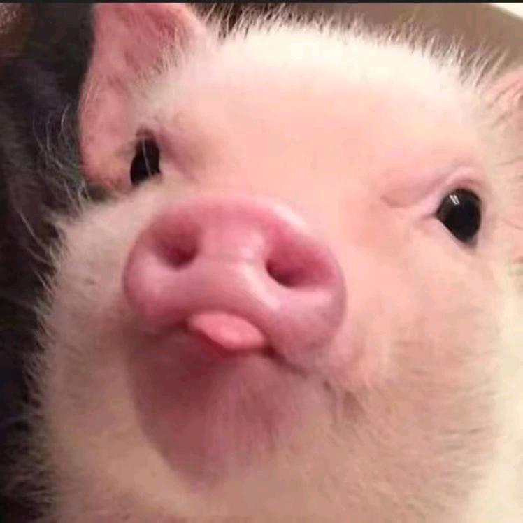 奔笑
