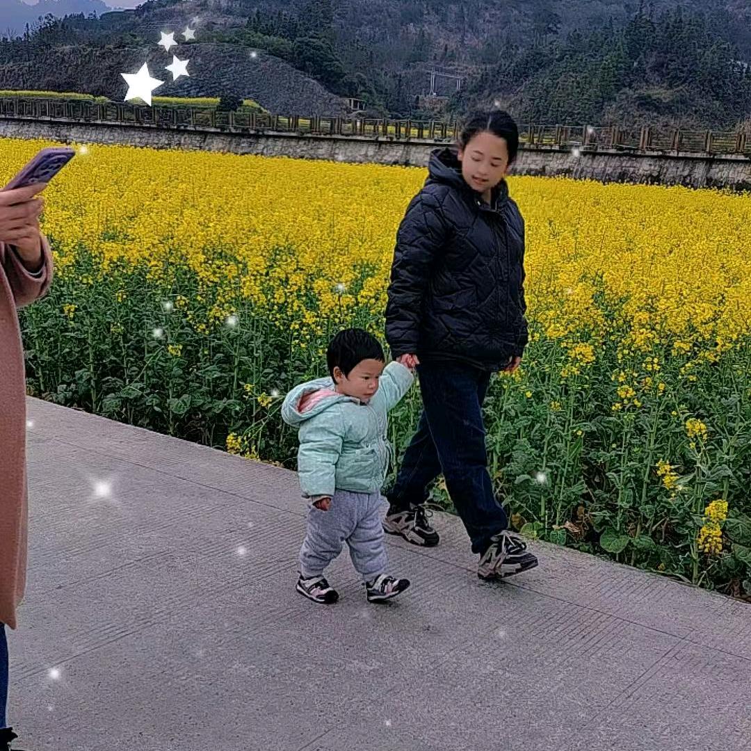卢家二小姐