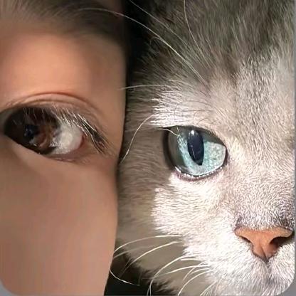 𝗫𝗮𝗻𝗱𝗲𝗿𝗪𝘂