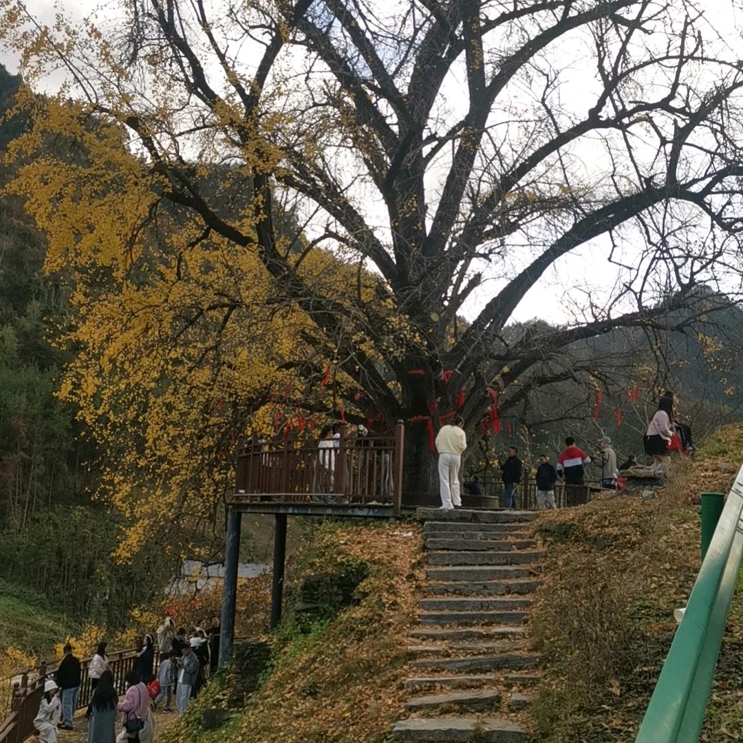 静心❤️