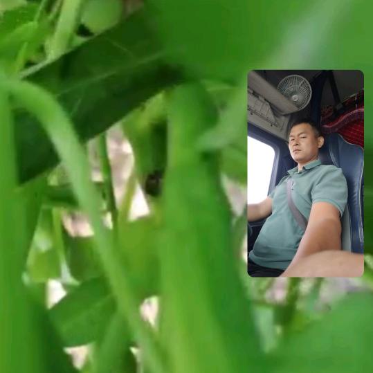 凯歌