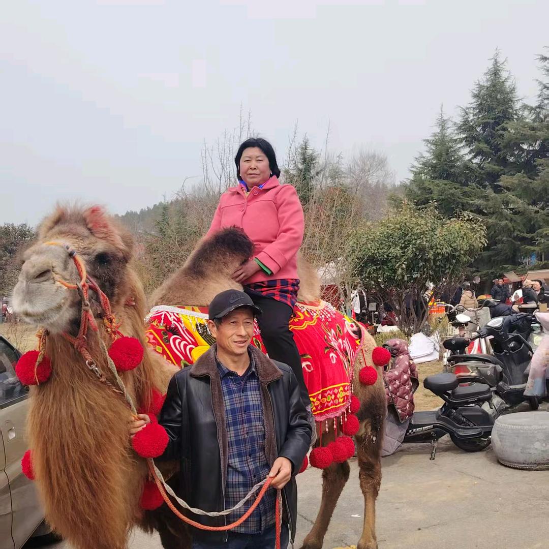 幸福美满