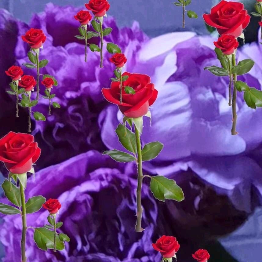 人在路上走哪有不低头