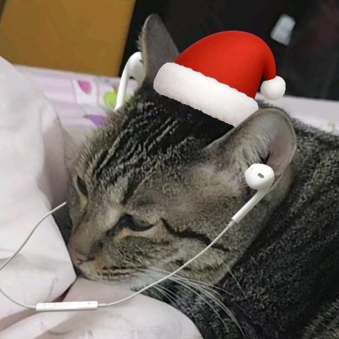 AAA拭剑台擦地猫师傅