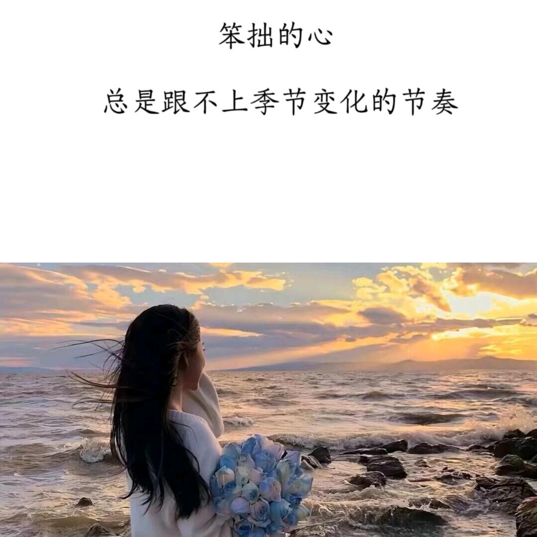 梦里啥都有