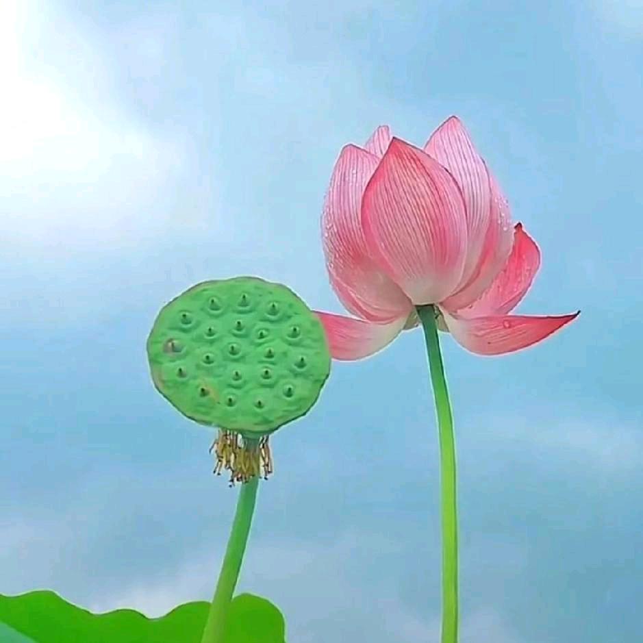 善恩