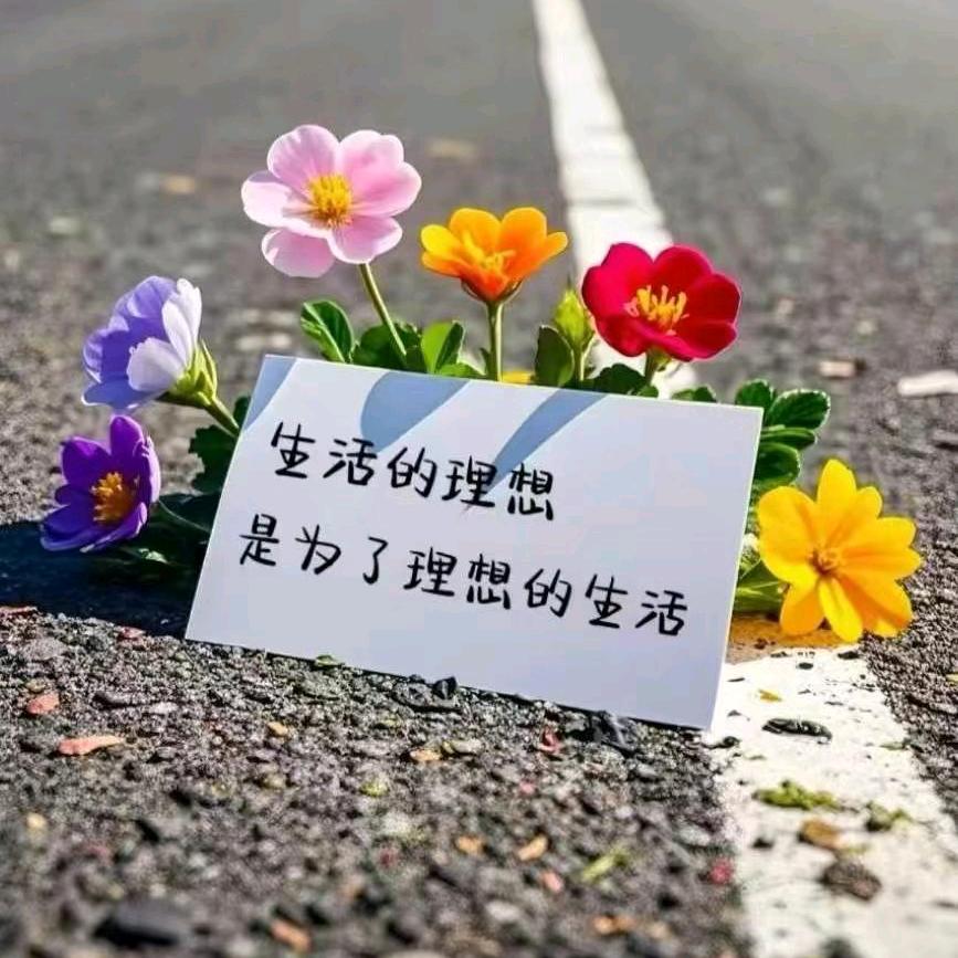 达美爱生活