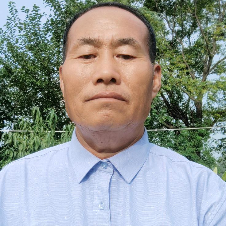 雁南飞早8:20。