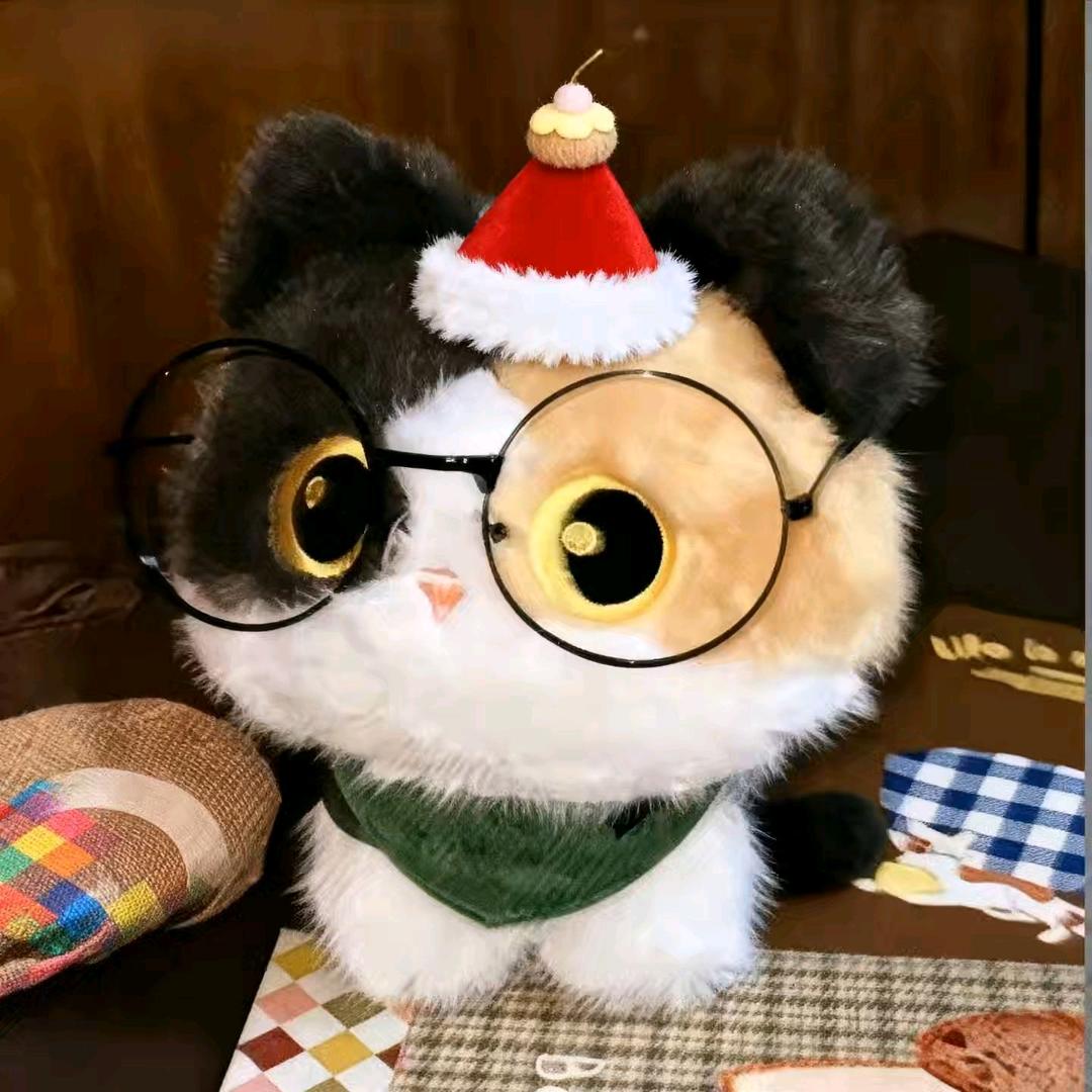 温槿
