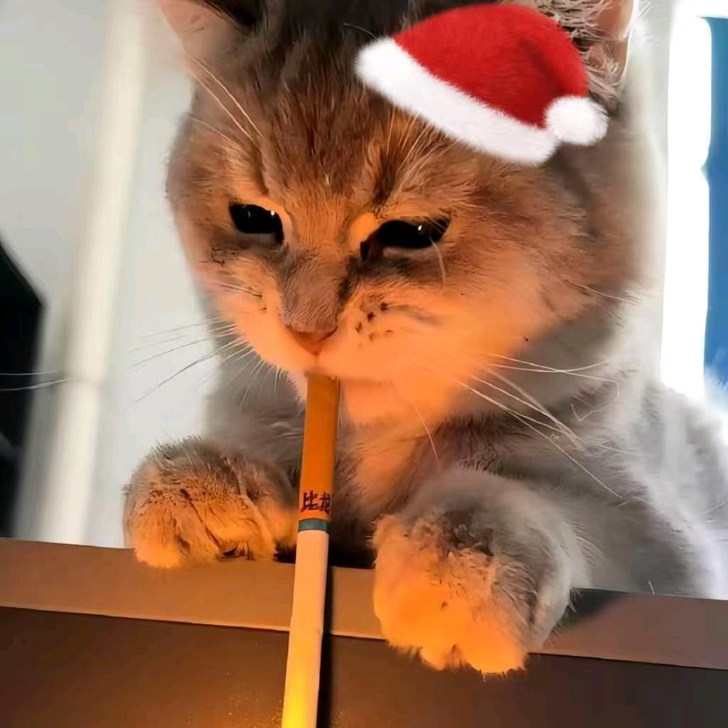 郁枯萎（恩师孟导）