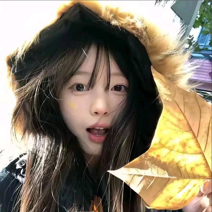 不被💔的小孩🐻