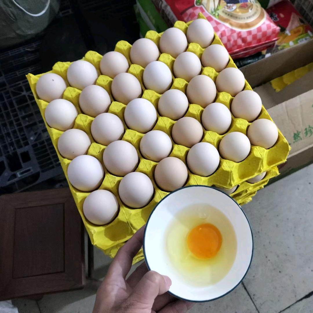 丰乐艾米禽蛋粮油批发零售配送