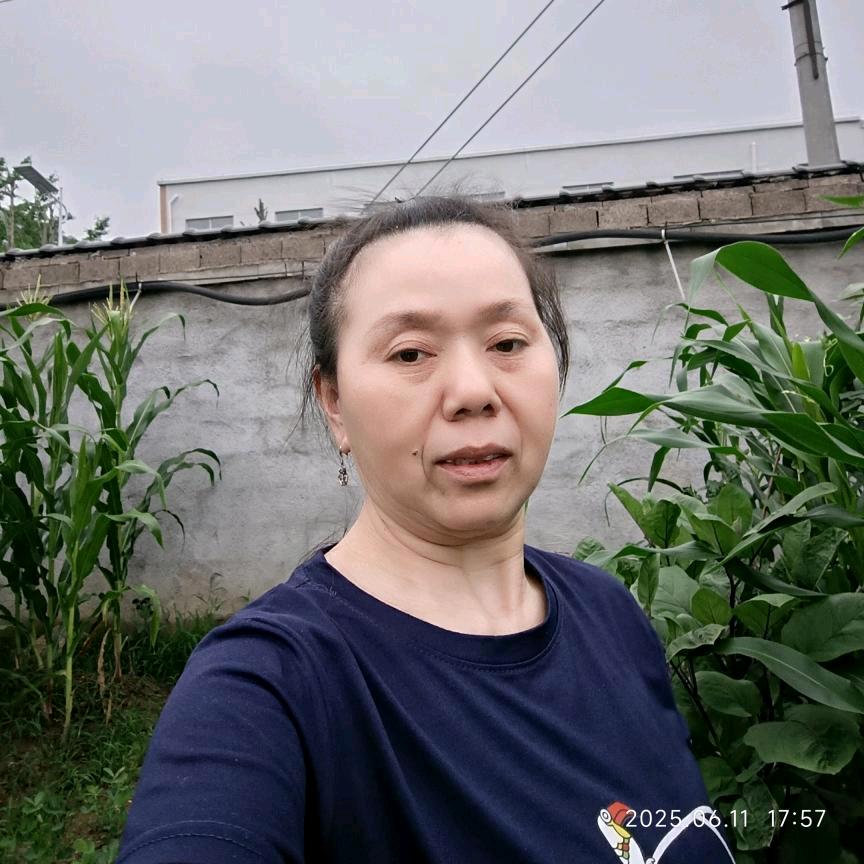 谜语晚上20：30分直播