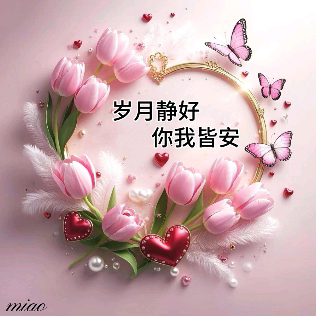 姐的快乐你不懂