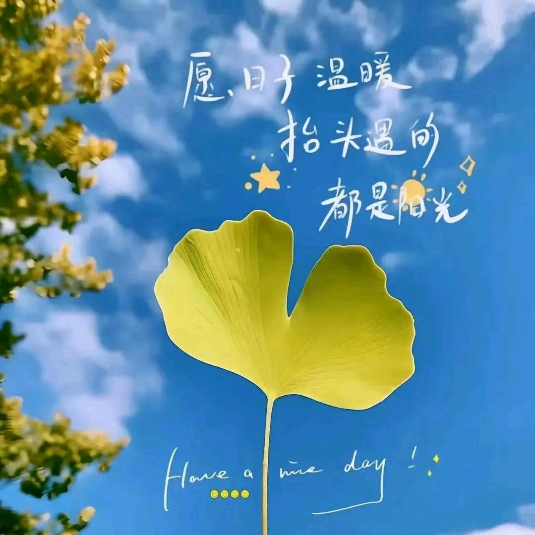 [玫瑰]千寻[庆祝]好物[玫瑰]