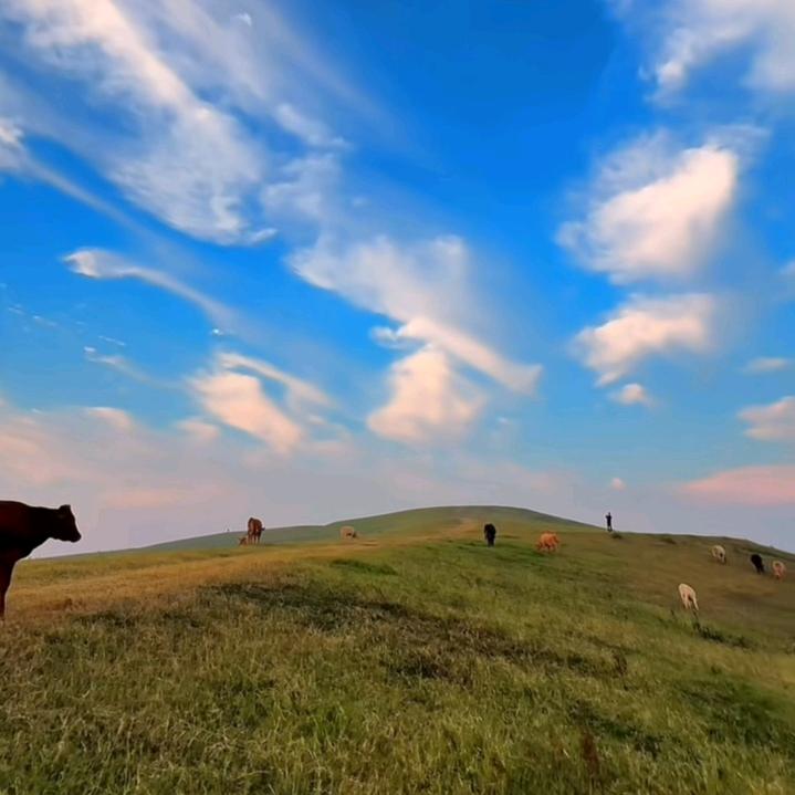 张亚东