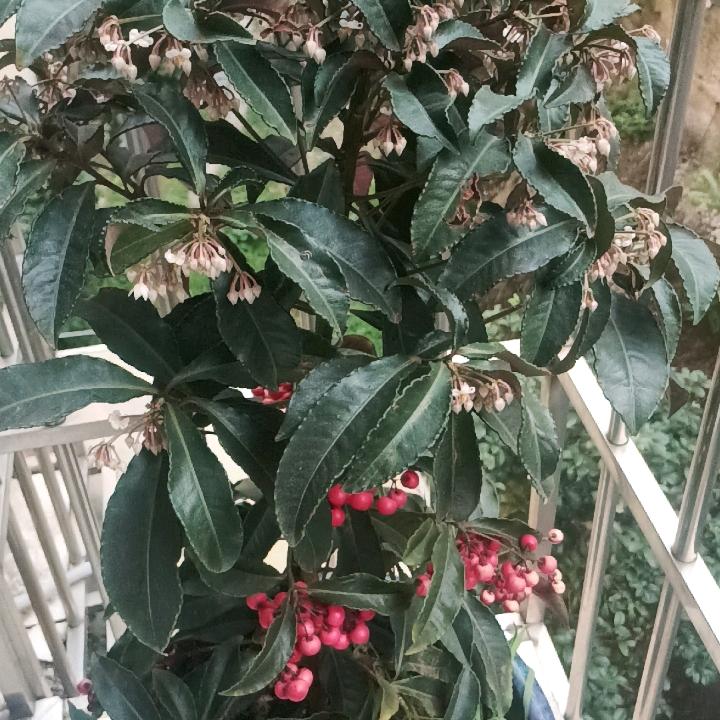 停泊在宁静的港