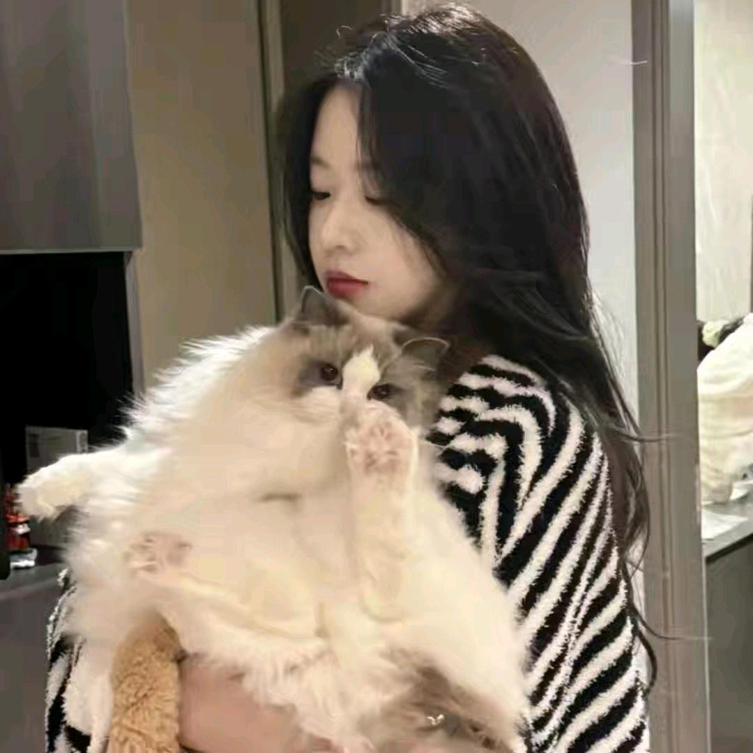 𝒮𝓮𝓇𝓮𝓃𝒹𝒾𝓅𝒾𝓉