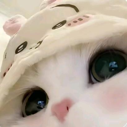 余念