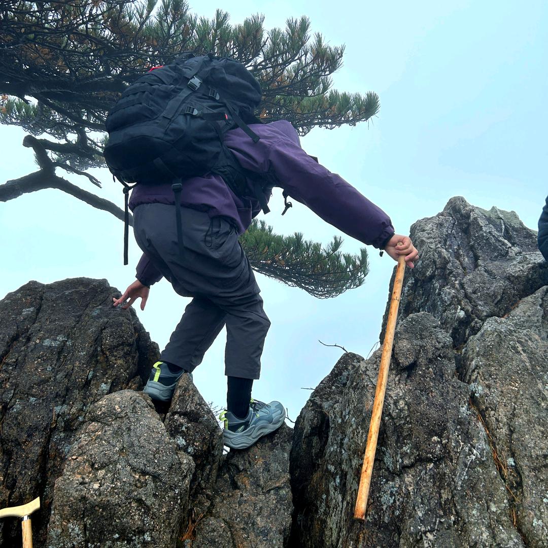 黄黄不知所措