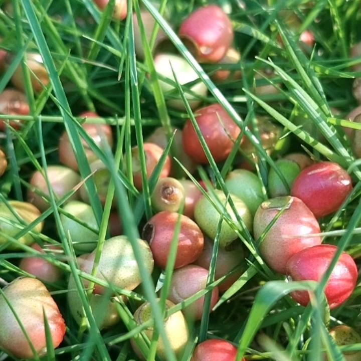 ঞ余生ᨏ随心໊ꦿഒᩚ࿐