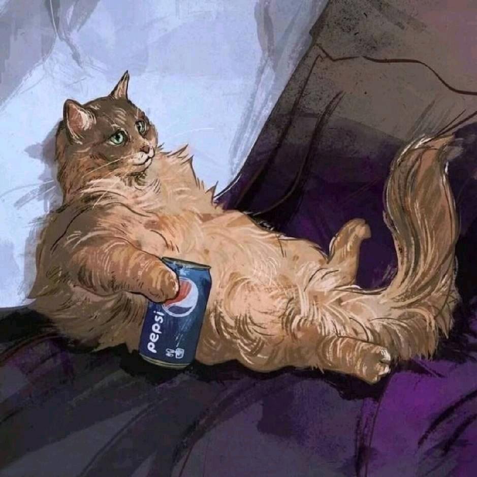 代驾公司本本分分57595