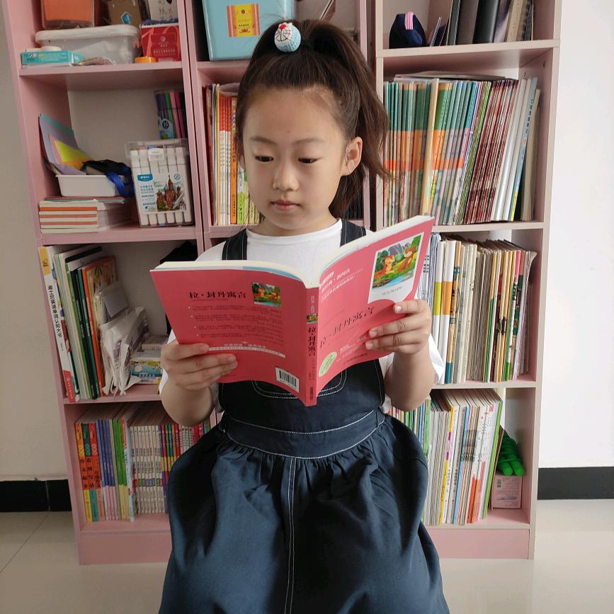 琳·宸麻麻