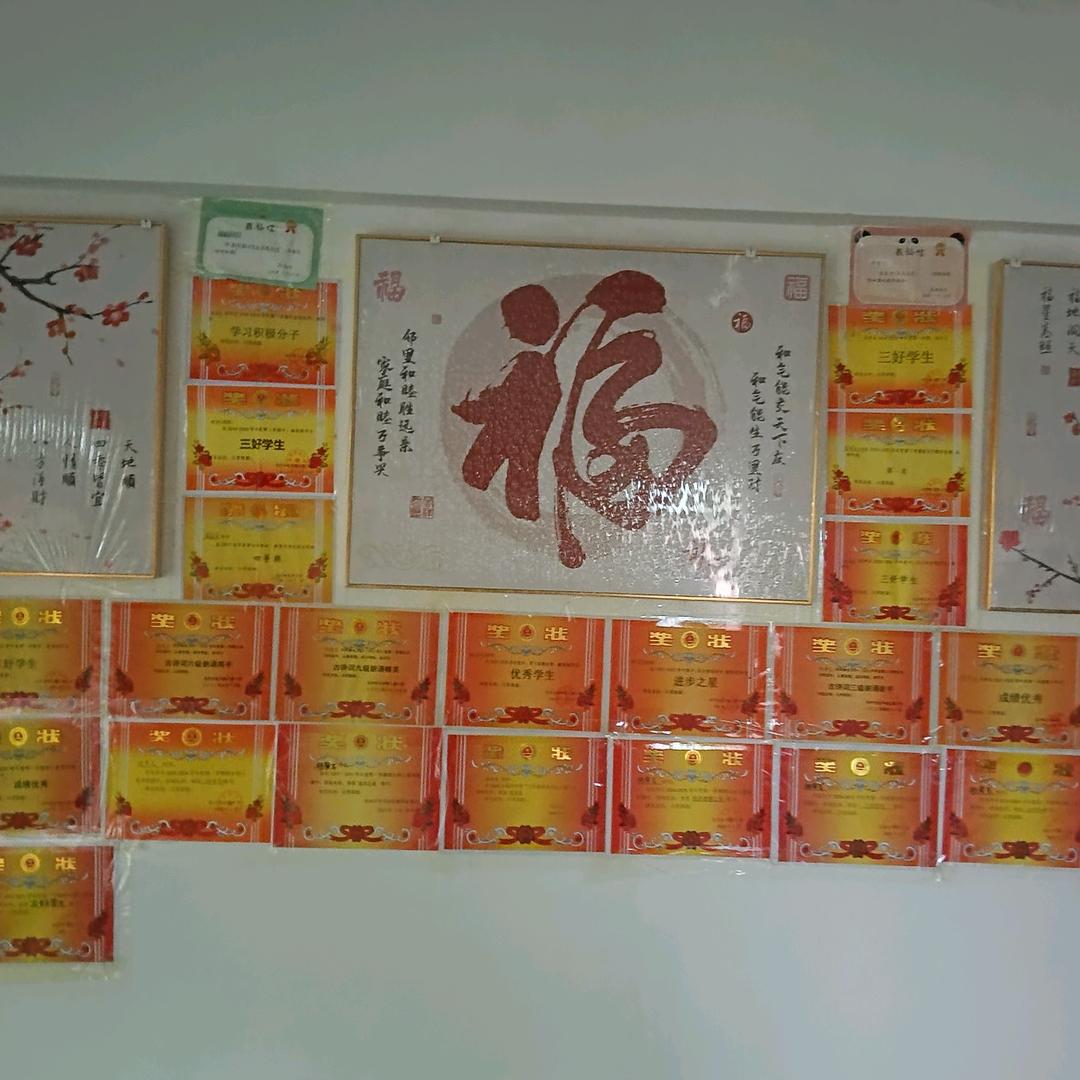 开心欢乐（专降血压，排毒祛湿，调理气血）