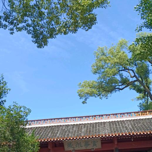 无解方程式