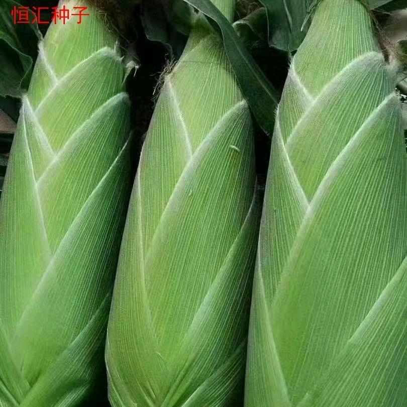 小信信百货