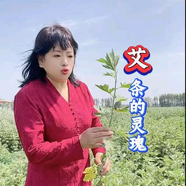 艾之源-贾湖古艾文化