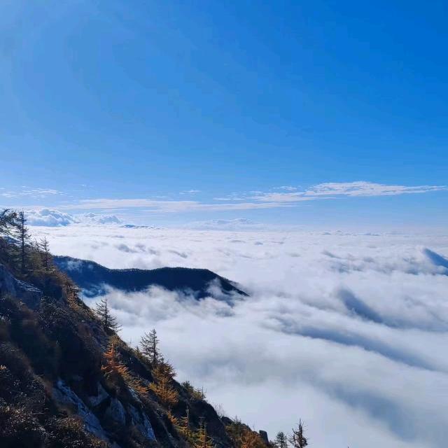 谋定后动