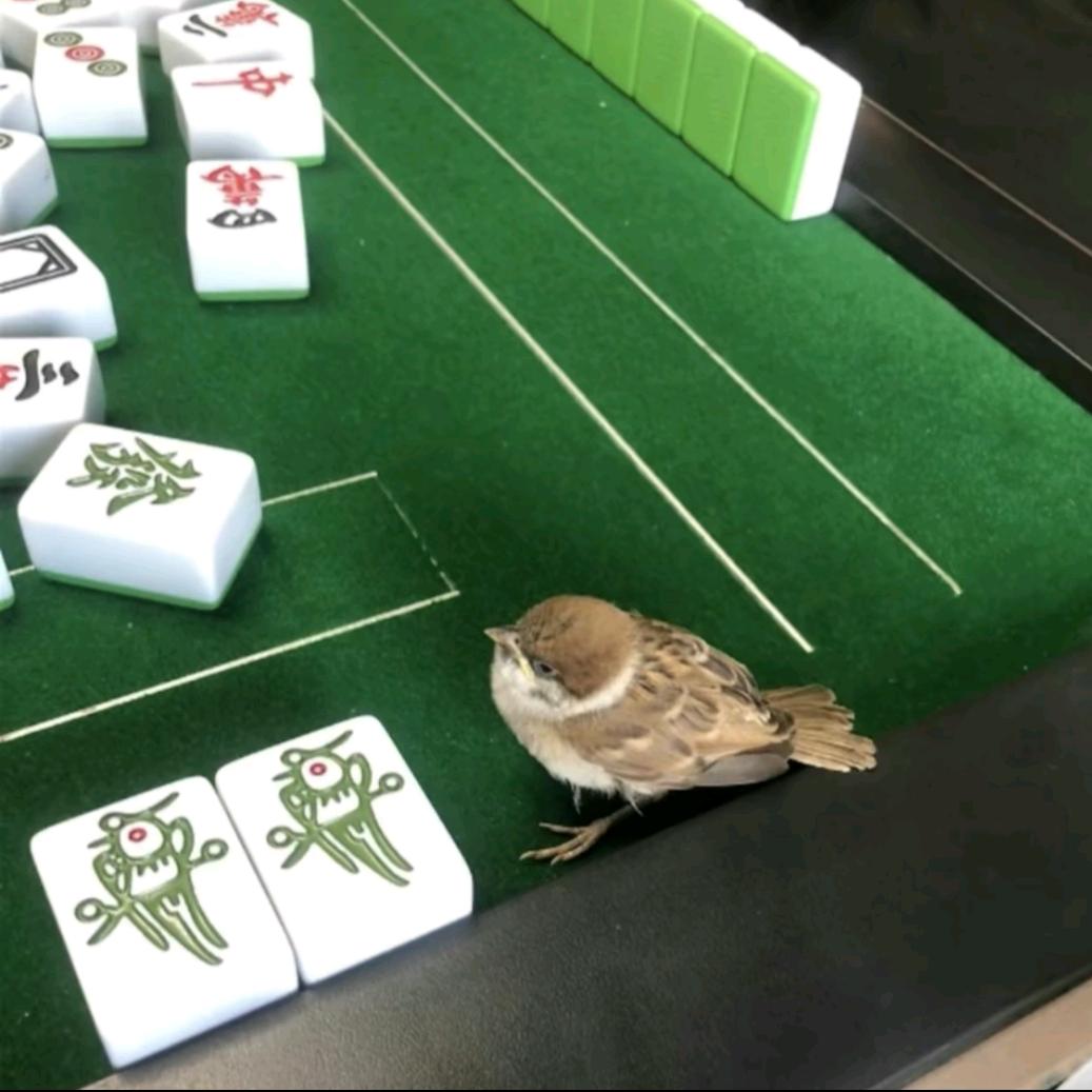 叭叭叭叭叭叭叭叭