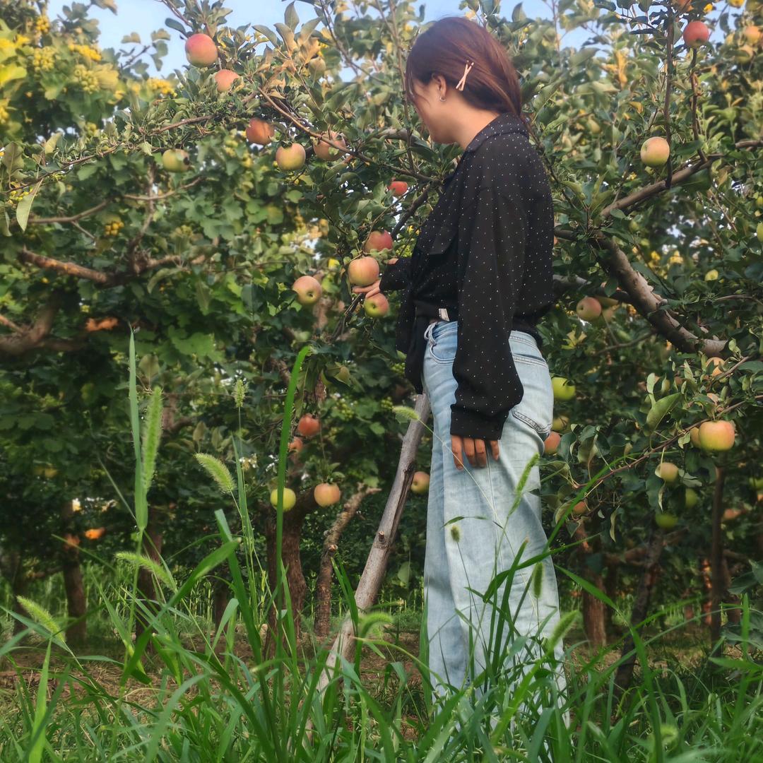 果鲜屋