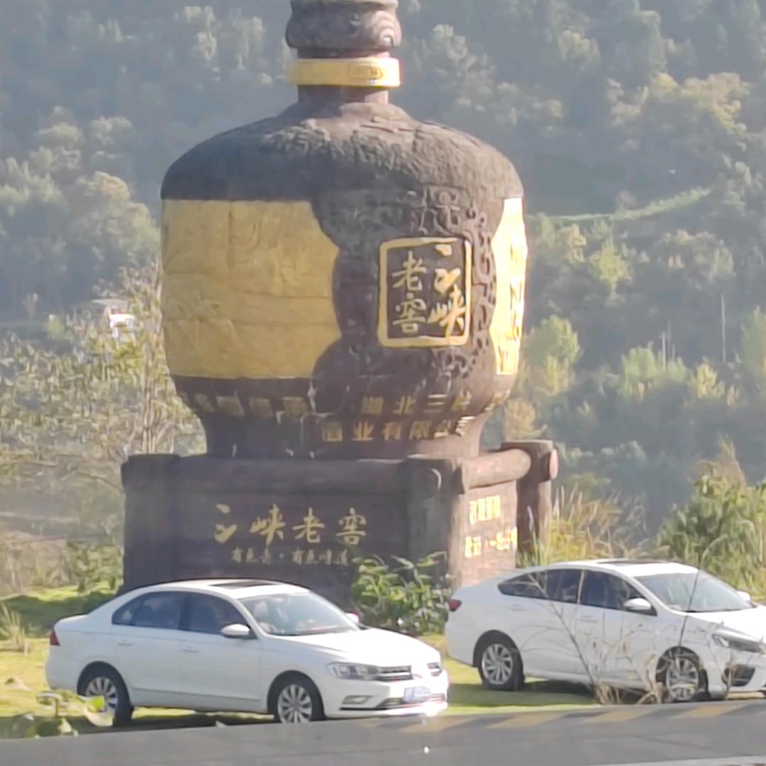 龙世雕…专业架子模板拆搭