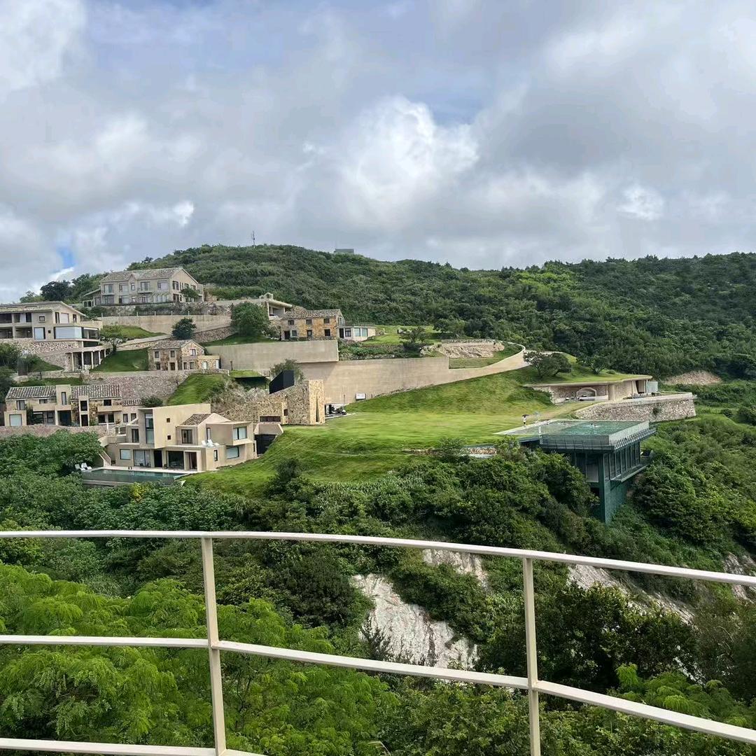 金色梦想🌹🌹