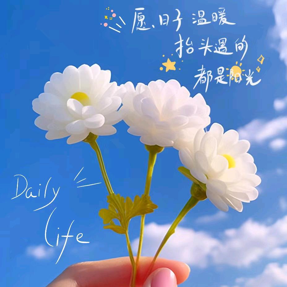 发呆的鼻涕虫