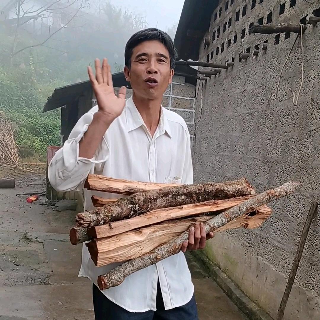 火地杨二