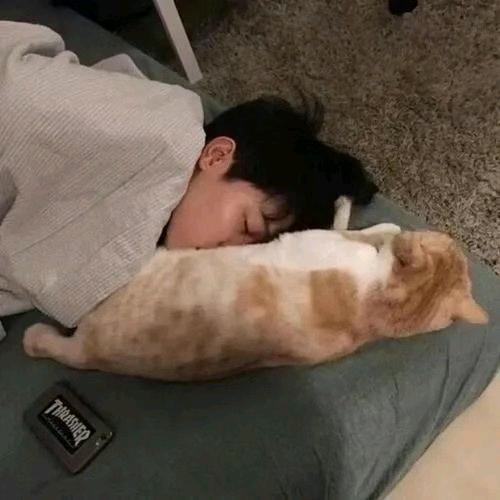 小洛数码（已毕业）