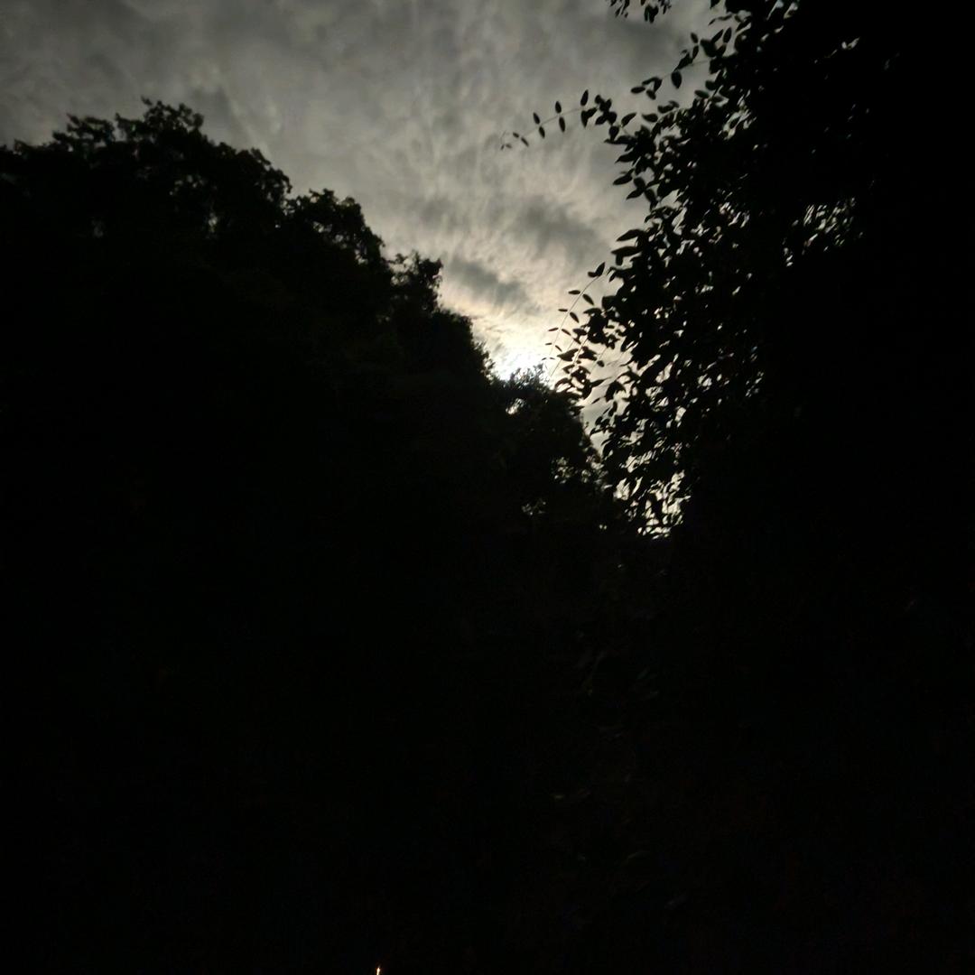 紫色的爱
