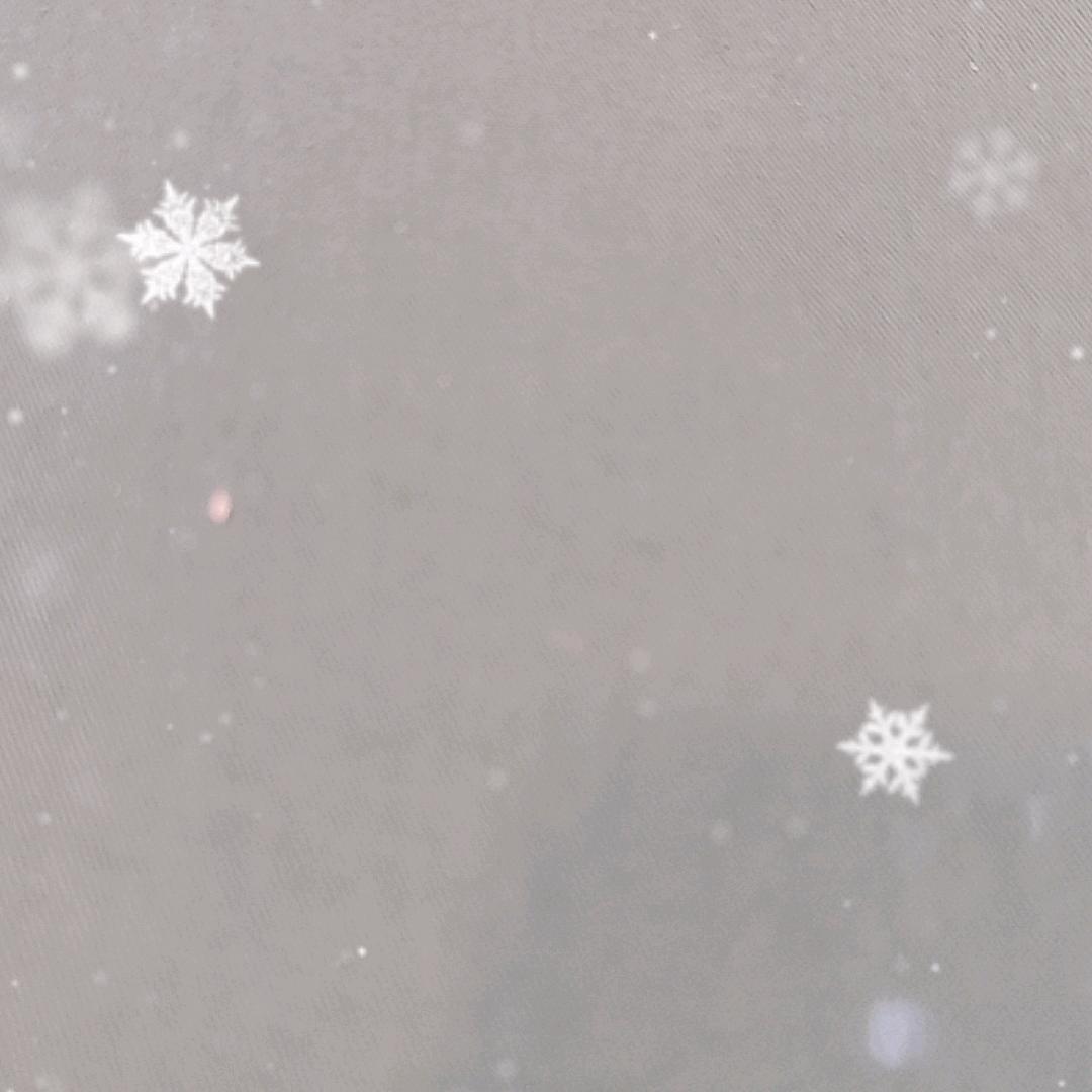 再见👋
