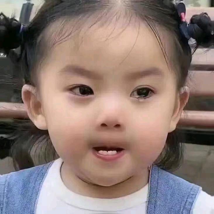 糯叽叽的小丸子