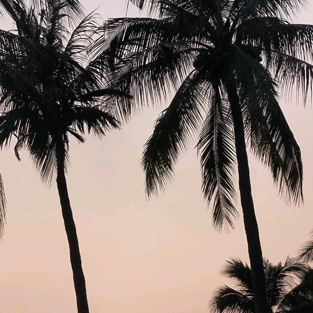 妄念̵