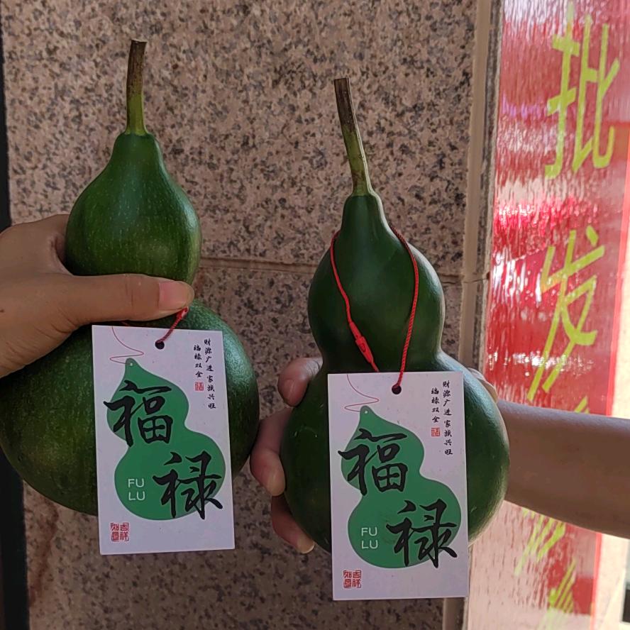 憨憨
