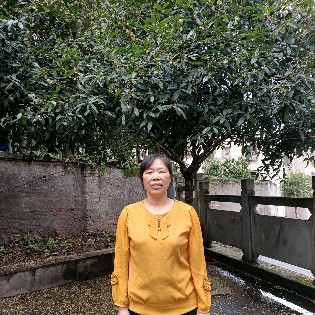 秀姐13.10直播