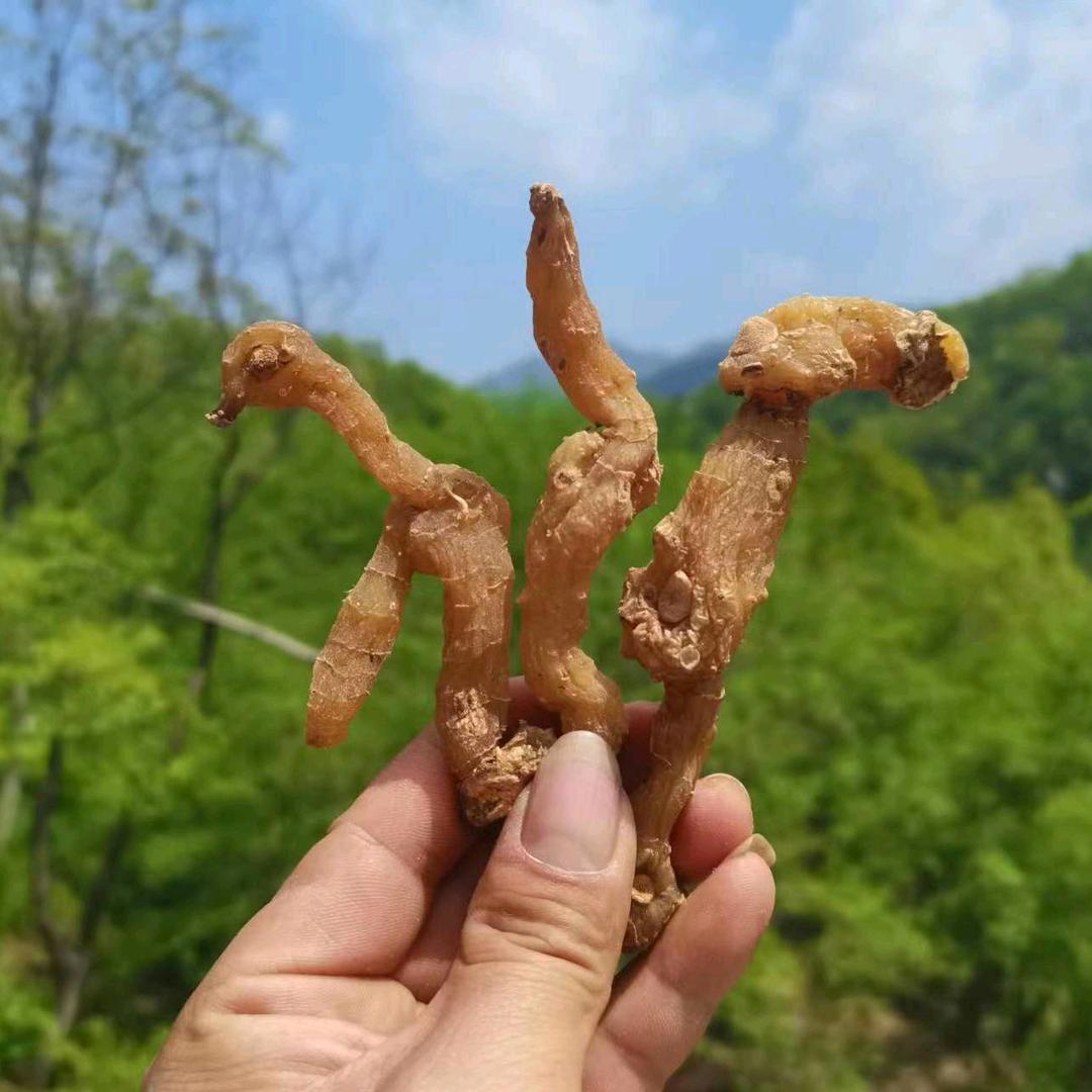 恋水谣忆味轩滋补养生专卖店