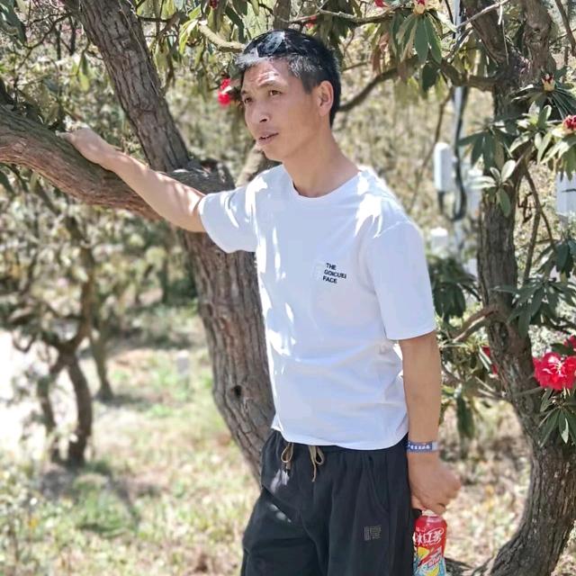 文哥与你到永久